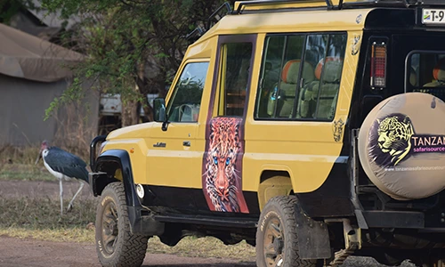 10-day treasures of Tanzania luxury safari