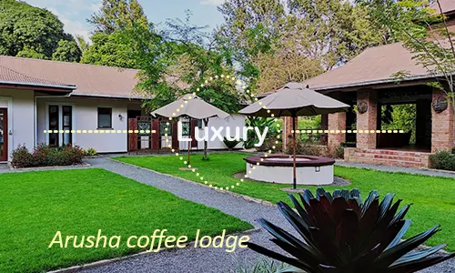 Farewell in Arusha - Arusha Coffee Lodge luxury