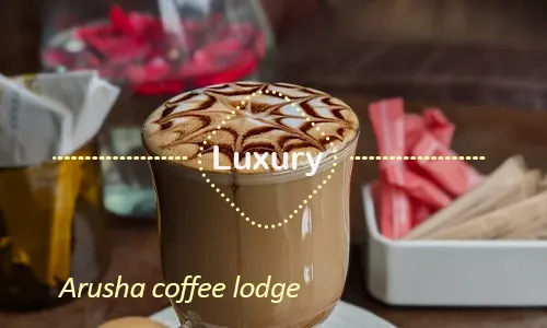 Arusha luxury safari travel Tanzania