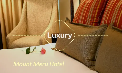 Mount Meru Hotel - Elegant Arrival Suite