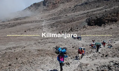 Kilimanjaro team support on the mountain