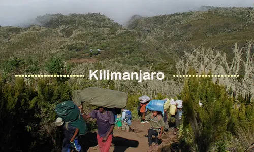 Kilimanjaro trekking path