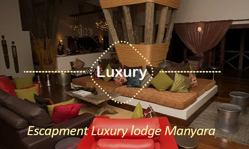 Lake Manyara luxury safari travel Tanzania