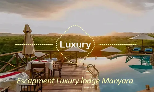 Lake Manyara luxury safari travel Tanzania
