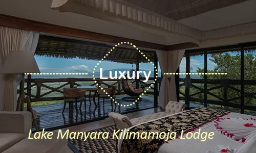 Luxury safari Tanzania - Lake Manyara