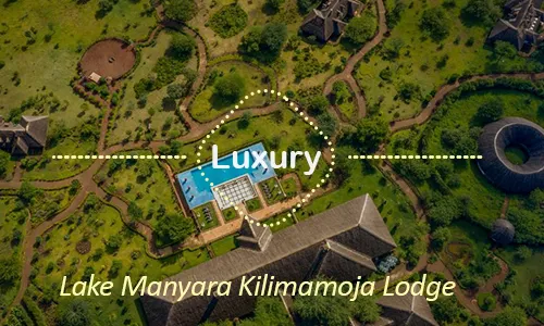 Lake Manyara Kilimamoja Lodge - Premium Family Villa