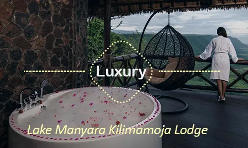Lake Manyara luxury safari travel Tanzania