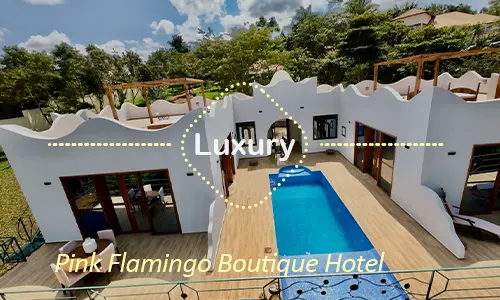 Pink Flamingo Boutique Hotel - Boutique Arrival Experience