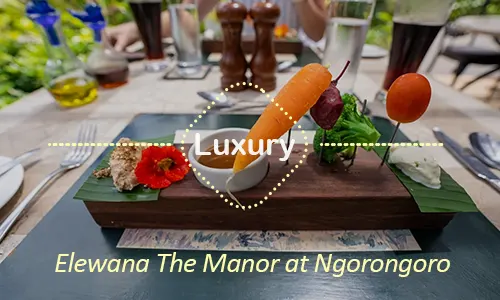 Ngorongoro luxury safari travel Tanzania