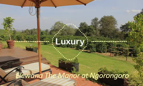 Ngorongoro luxury safari travel Tanzania
