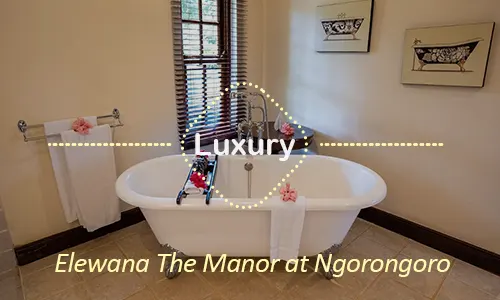 Ngorongoro luxury safari travel Tanzania