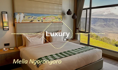 Ngorongoro luxury safari travel Tanzania