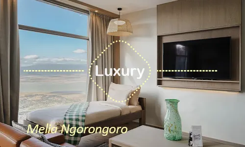 Melia Ngorongoro - dining with views