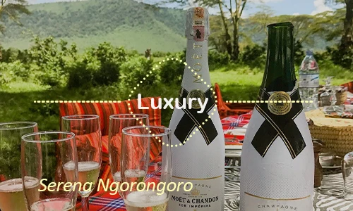 Ngorongoro luxury safari travel Tanzania