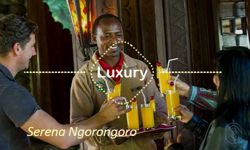 Ngorongoro luxury safari travel Tanzania