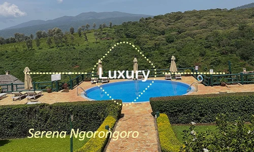 Serena Ngorongoro luxury lodge - Exclusive Ndutu Plains stay