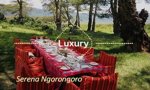Serena Ngorongoro luxury lodge - Premium Ngorongoro safari stay