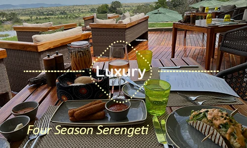 Serengeti luxury safari travel Tanzania