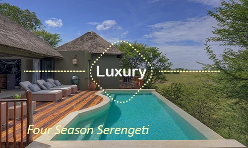 Four Seasons Serengeti - Full Day Safari