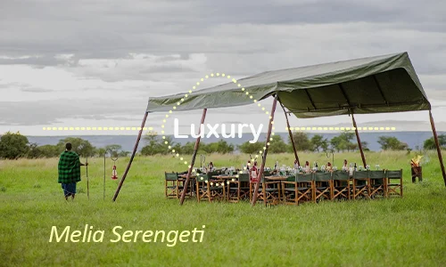 Melia Serengeti - Central Family Room