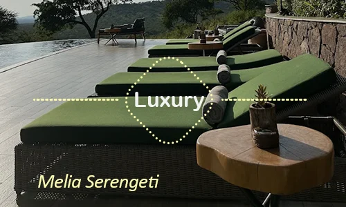 Luxury safari Tanzania - Serengeti