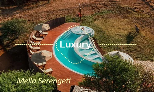 Serengeti luxury safari travel Tanzania