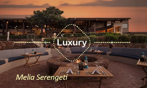 Melia Serengeti - Safari Exploration