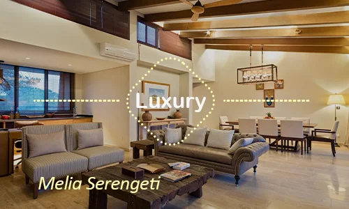 Melia Serengeti central tent - Full day exploration