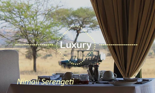 Nimali Serengeti - Another Day Private Camp