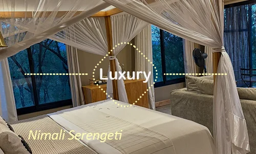 Serengeti luxury safari travel Tanzania