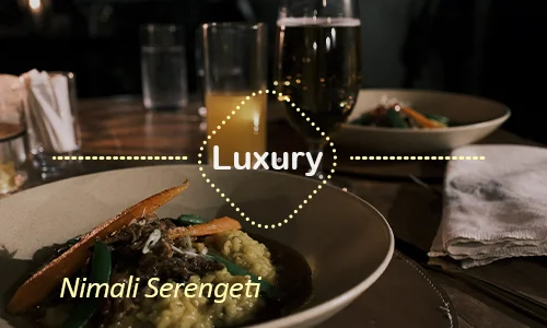 Serengeti luxury safari travel Tanzania