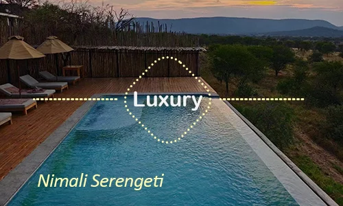 Serengeti luxury safari travel Tanzania