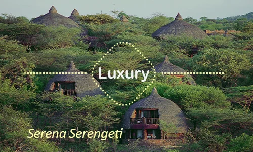 Serena Serengeti luxury lodge setting