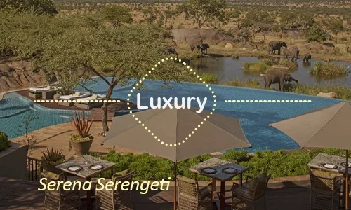 Serena Serengeti luxury lodge Tanzania