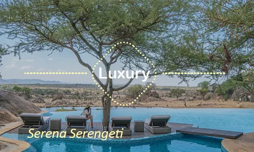 Serena Serengeti - Another Day Family Lodge