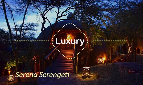 Serena Serengeti - Final Day Family Lodge