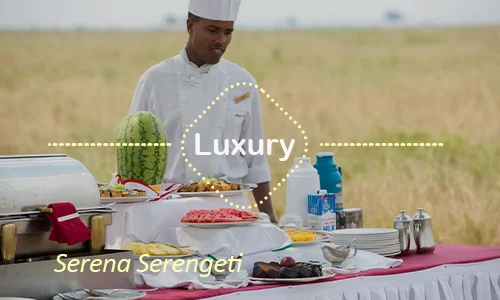 Serena Serengeti suite and grounds