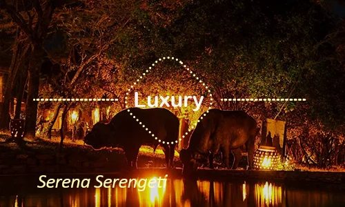 Serena Serengeti luxury dining experience