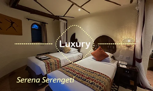 Serena Serengeti morning game drive