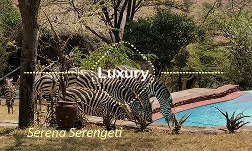 Serena Serengeti - Romantic Suite