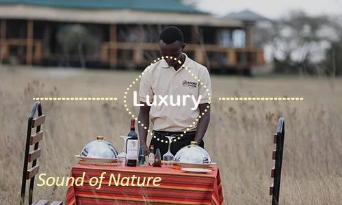 Sound of Nature Serengeti luxury tent