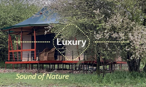 Sound of Nature Serengeti - Private luxury camp Ndutu