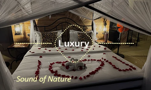 Luxury safari Tanzania - Serengeti sunset