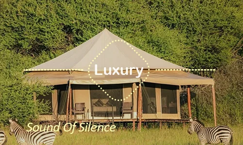 Sound of Silence Serengeti exclusive camp