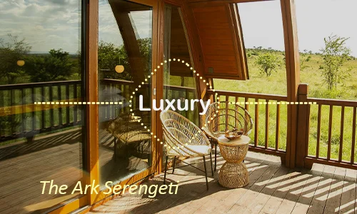 The Ark Serengeti unique elevated suites