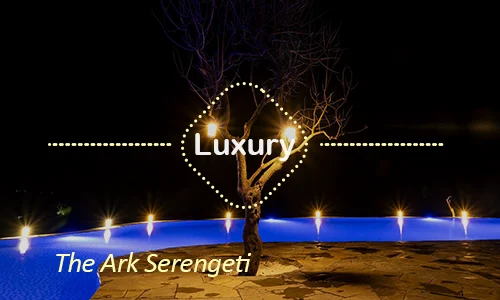 Serengeti luxury safari travel Tanzania