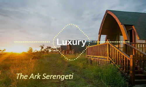 The Ark Serengeti elevated dining