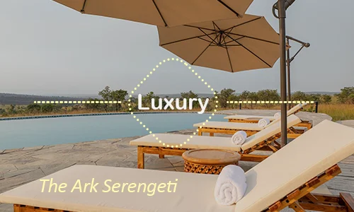 The Ark Serengeti panoramic suites