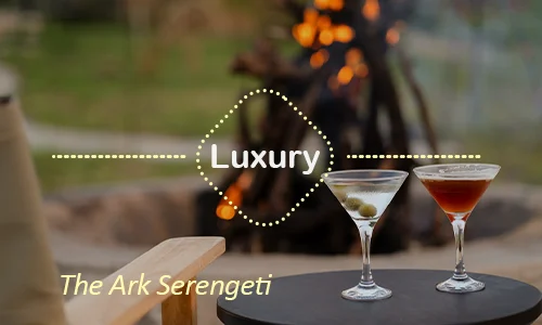 The Ark Serengeti - distinctive suites