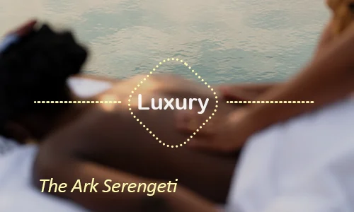 The Ark Serengeti elevated suites and views